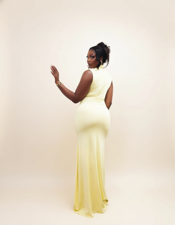 the sola dress3 the sola dress3